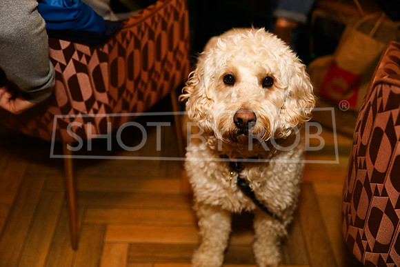 SHOT_BY_ROB-9713