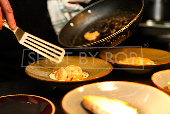 SHOT_BY_ROB-9802