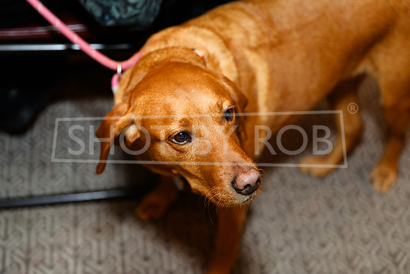 SHOT_BY_ROB-5586