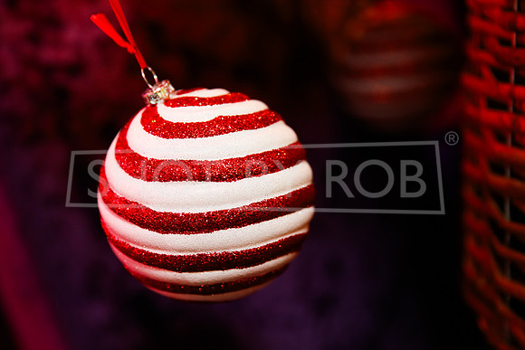 SHOT_BY_ROB-1912