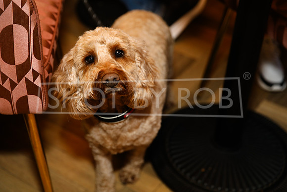 SHOT_BY_ROB-6481