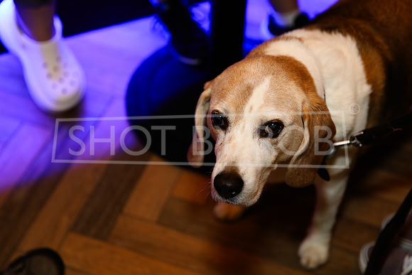SHOT_BY_ROB-2475