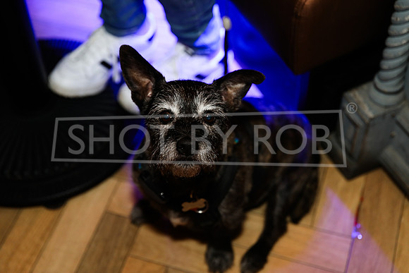 SHOT_BY_ROB-9544