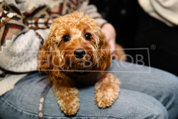 SHOT_BY_ROB-2066