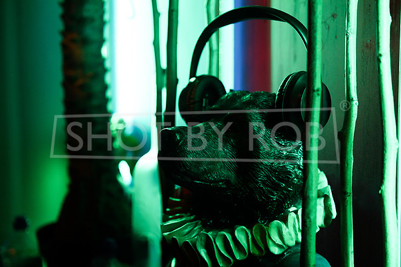 SHOT_BY_ROB-3199