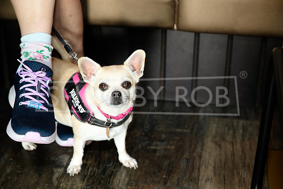 SHOT_BY_ROB-7752