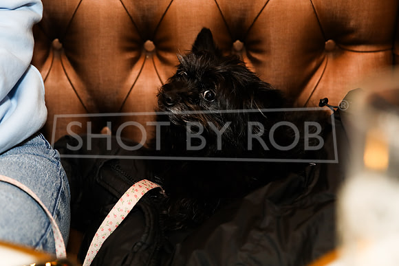SHOT_BY_ROB-9710