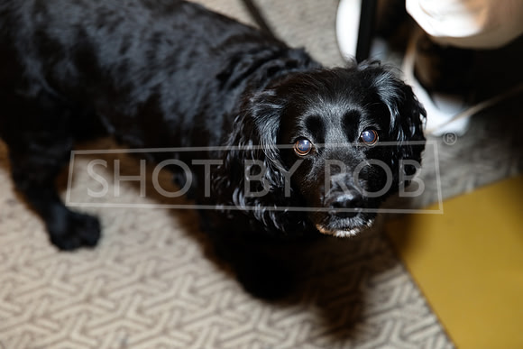 SHOT_BY_ROB-6521