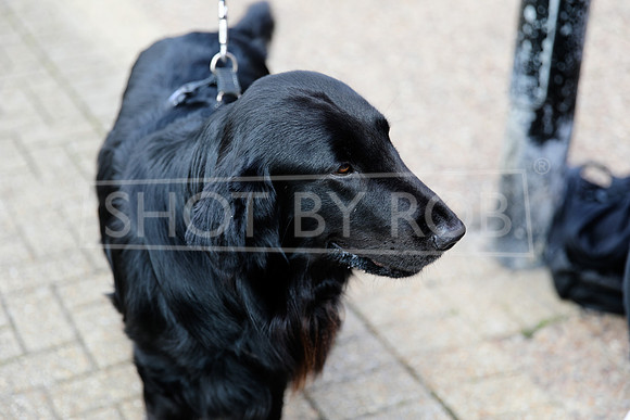 SHOT_BY_ROB-1107