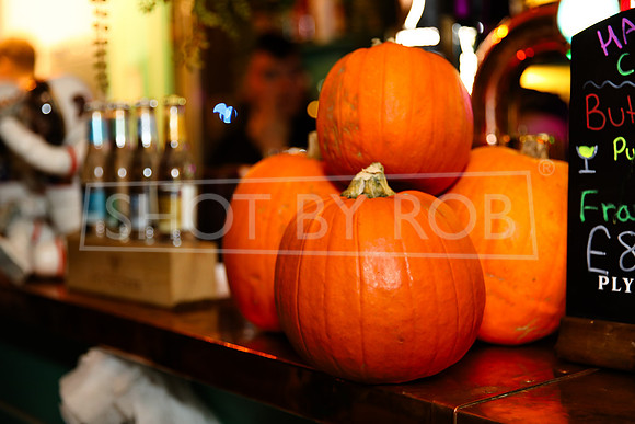 SHOT_BY_ROB-8419