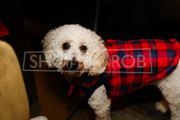 SHOT_BY_ROB-5486