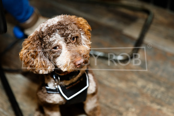 SHOT_BY_ROB-5564