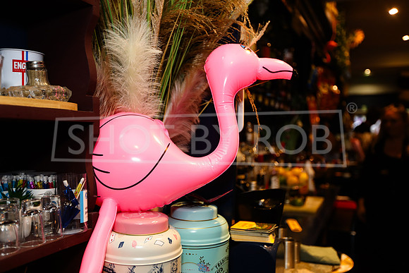 SHOT_BY_ROB-5798