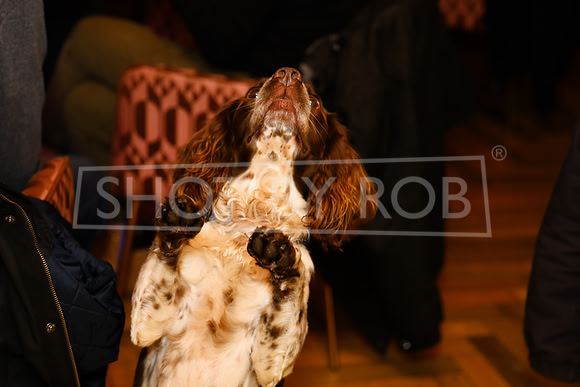 SHOT_BY_ROB-5586