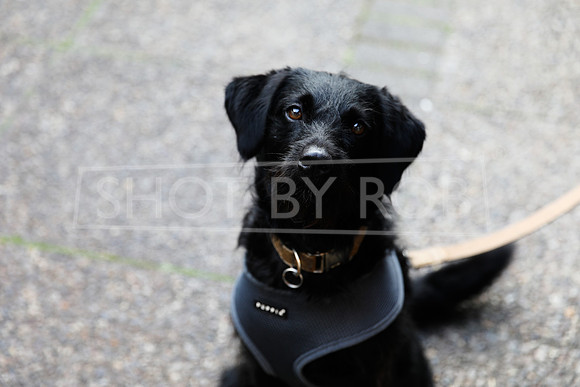 SHOT_BY_ROB-2373