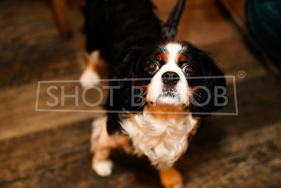 SHOT_BY_ROB-0461