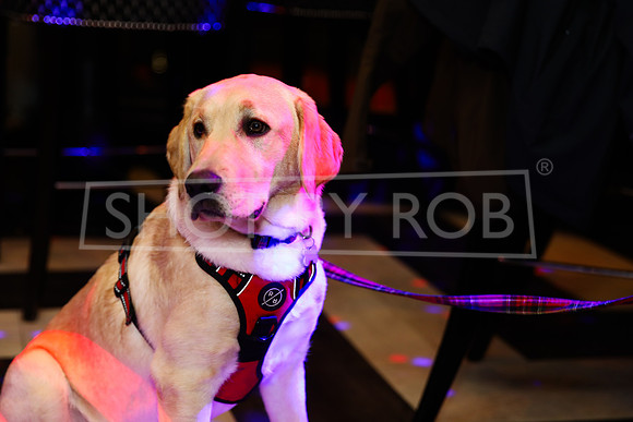 SHOT_BY_ROB-6580