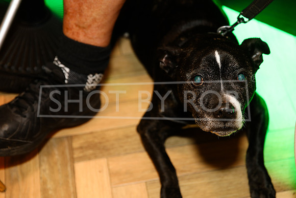 SHOT_BY_ROB-4431
