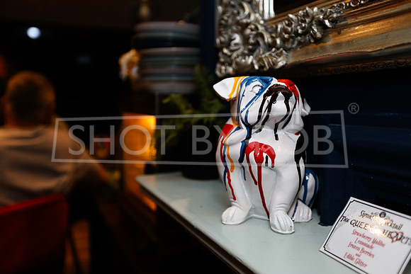 SHOT_BY_ROB-5823
