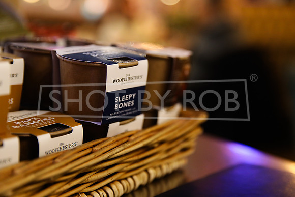 SHOT_BY_ROB-5878