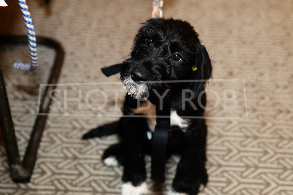 SHOT_BY_ROB-0447