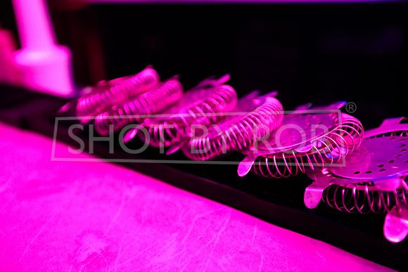 SHOT_BY_ROB-7265