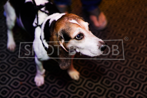 SHOT_BY_ROB-4392