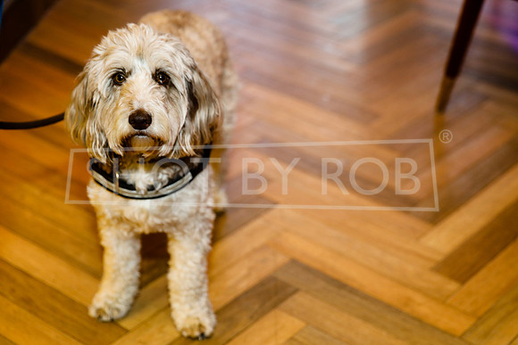 SHOT_BY_ROB-7013