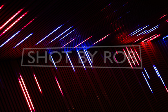 SHOT_BY_ROB-9113