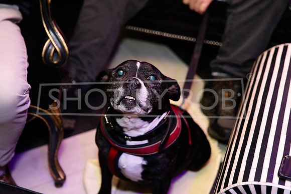 SHOT_BY_ROB-0644