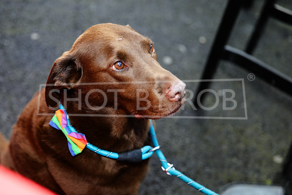 SHOT_BY_ROB-1180