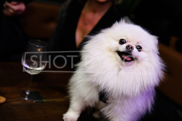 SHOT_BY_ROB-2676