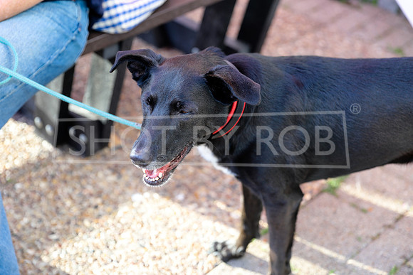SHOT_BY_ROB-3364
