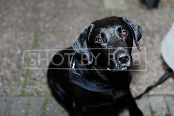 SHOT_BY_ROB-6556