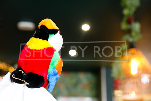 SHOT_BY_ROB-1702