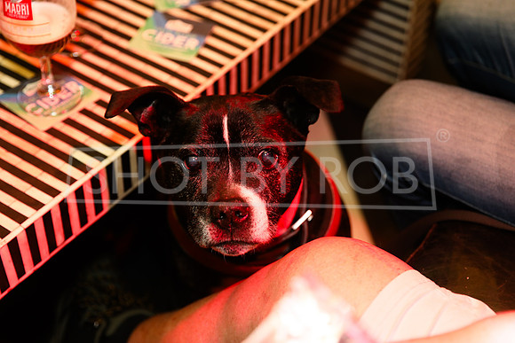SHOT_BY_ROB-3517