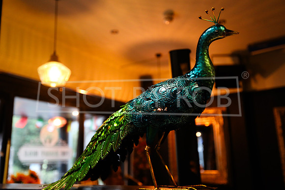 SHOT_BY_ROB-5794