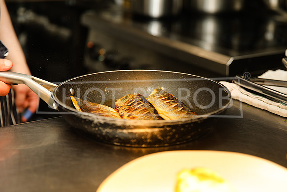 SHOT_BY_ROB-6555
