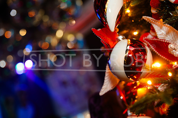 SHOT_BY_ROB-1567