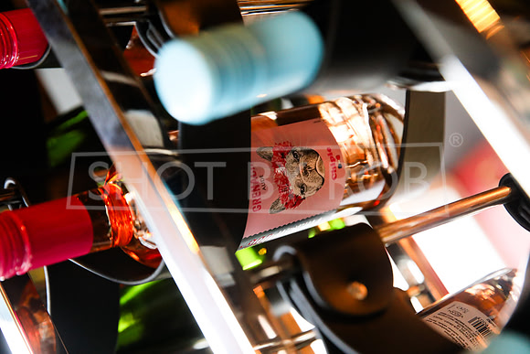 SHOT_BY_ROB-5440