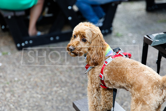 SHOT_BY_ROB-2377