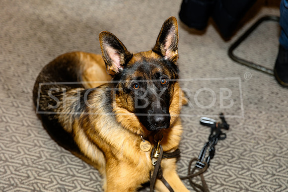 SHOT_BY_ROB-0694