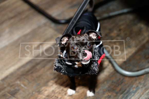 SHOT_BY_ROB-1679