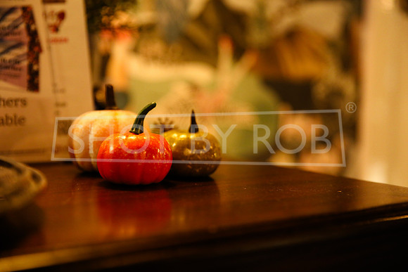 SHOT_BY_ROB-7558