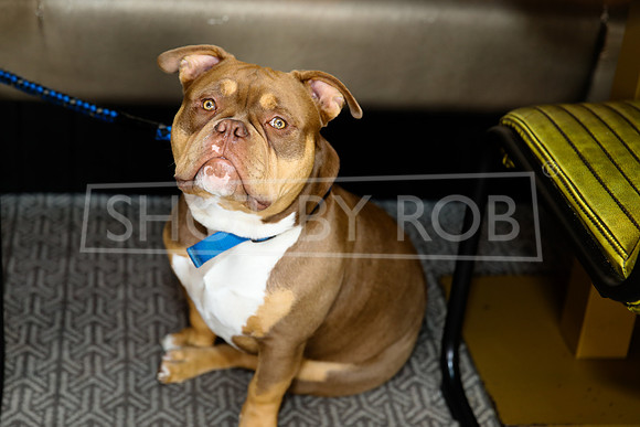 SHOT_BY_ROB-5356