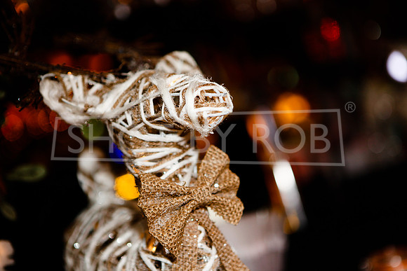 SHOT_BY_ROB-8732
