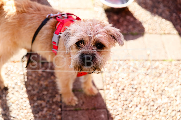 SHOT_BY_ROB-4564