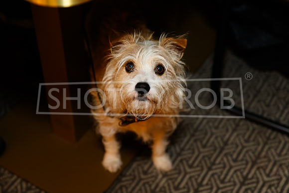 SHOT_BY_ROB-5587