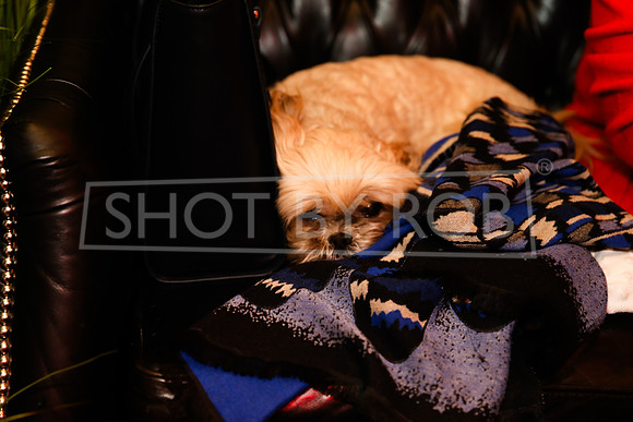 SHOT_BY_ROB-0665
