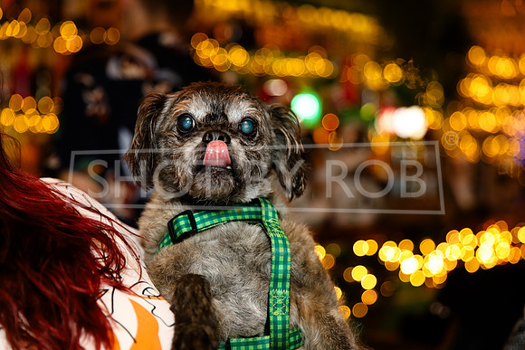 SHOT_BY_ROB-2792